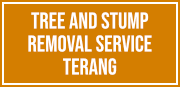 Tree and Stump Removal Service Terang